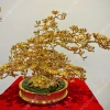Chậu hoa mai bon sai mạ vàng 24k