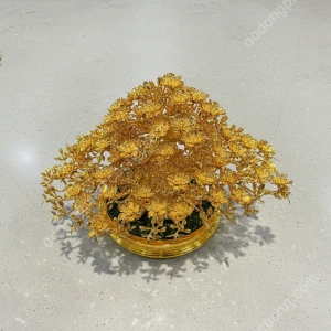 Chậu hoa mai bon sai mạ vàng 24k